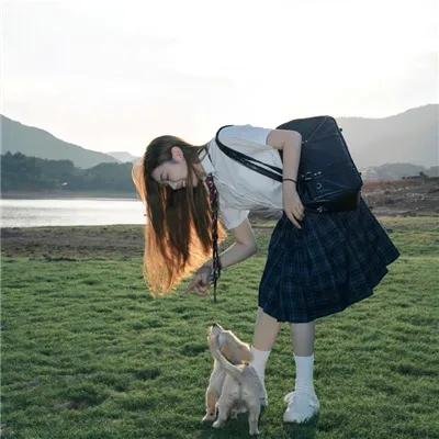 尖鼠杀手