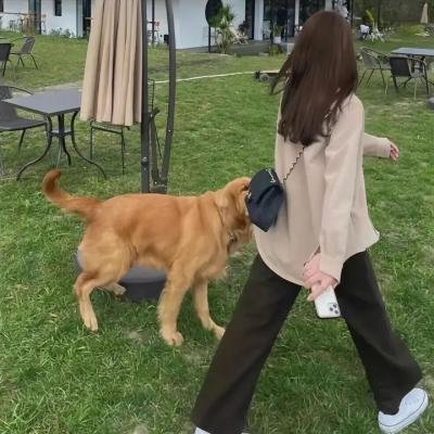 监狱淌血